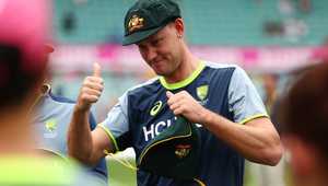 不仅为解说 不仅为解说